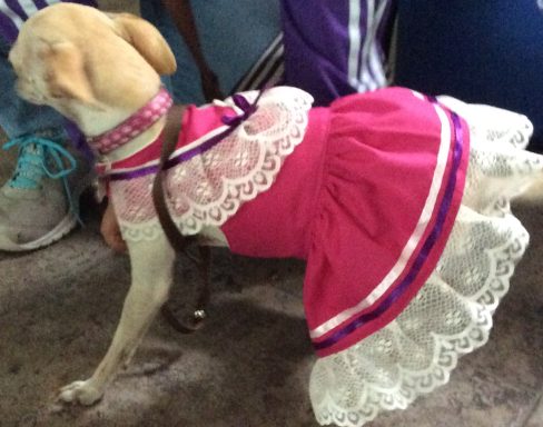 Vestido de Adelita Vestido