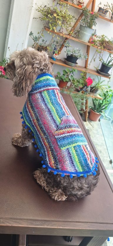 Capa con pompon Capa