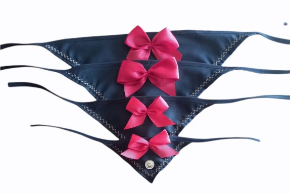 Paliacate de charro charro