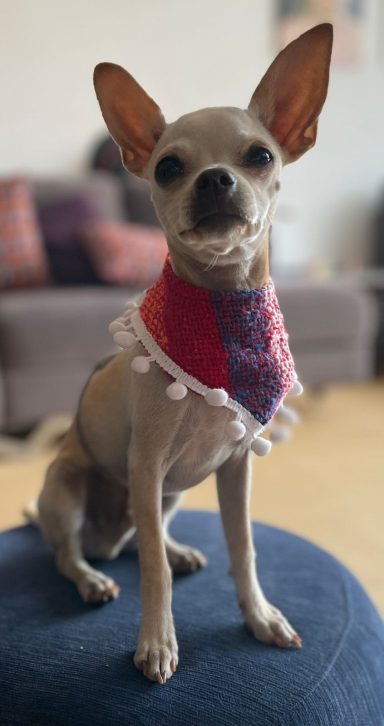 Bandana Artesanal bandana